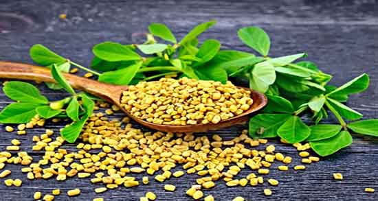 خواص دانه شنبلیله ؛ برای چاقی و پوست و مو و لاغری و دیابت و چاقی صورت