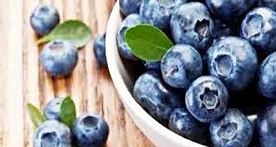 فواید بلوبری در بارداری ؛ ایا مصرف بلوبری برای جنین زنان باردار مفید است