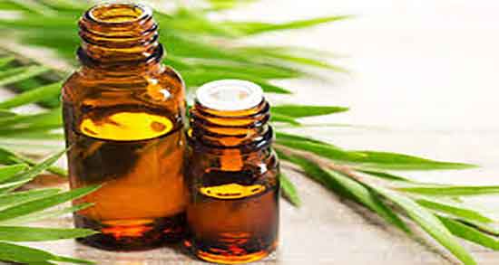فواید روغن درخت چای سبز ؛ خواص روغن درخت چای برای جوش زیر پوستی