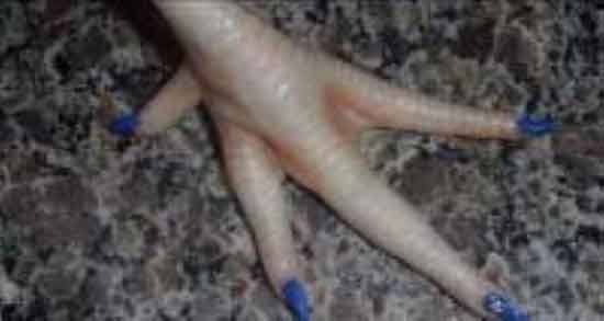 خواص پای مرغ و قلم گاو ؛ آیا چربی قلم گاو برای کبد چرب مفید است