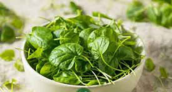 خواص شاهی در سبزی خوردن ؛ ایا مصرف شاهی در سبزی خوردن مفیده
