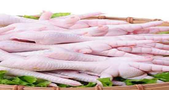 پای مرغ در رژیم کتوژنیک ؛ ایا مصرف پای مرغ در رژیم کتوژنیک تاثیر دارد