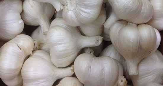خواص پوست سیر ؛ تازه برای مو و خواص درمانی سوزاندن اسپند پوست سیر و پیاز