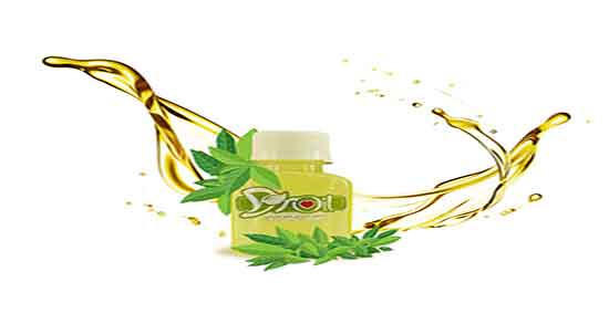 روغن درخت چای و جوجوبا ؛ شامپو روغن جوجوبا و درخت چای گلان
