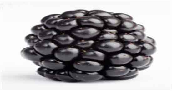 شاه توت و دیابت ؛ ایا مصرف شاه توت برای کنترل قند خون مفیده