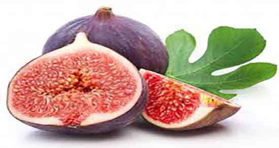 شیره انجیر و خال گوشتی ؛ خاصیت شیره انجیر برای خال های گوشتی