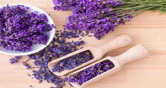 خواص اسطوخودوس و بادرنجبویه ؛ همه چیز درباره خاصیت های مصرف اسطوخودوس و بادرنجبویه
