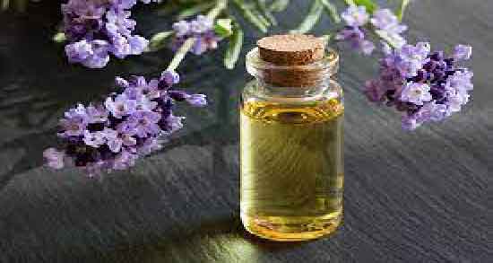 خواص اسطوخودوس و بهار نارنج ؛ درمان تپش قلب با اسطوخودوس و بهار نارنج