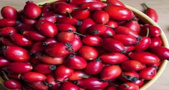 خواص میوه گل نسترن در بارداری ؛ تقویت بدن در بارداری با مصرف میوه گل نسترن