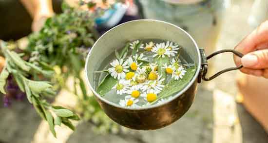 خواص گل بابونه برای کودکان ؛ تقویت سیستم ایمنی بدن کودک با مصرف گل بابونه