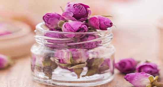 خواص گل محمدی برای دیابت ؛ کاهش قند خون با مصرف گل محمدی