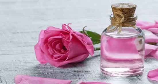 خواص گل محمدی و برگ سنا ؛ خاصیت چربی سوزی مصرف گل محمدی و برگ سنا