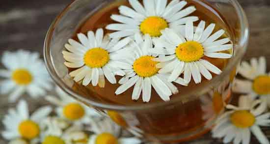 فواید گل بابونه برای صورت ؛ از بین بردن چین و چروک پوست با گل بابونه