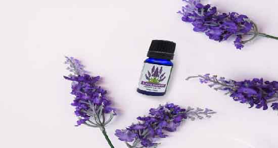 مضرات اسطوخودوس در بارداری ؛ آیا استفاده از اسطوخودوس برای زن باردار مضر است؟