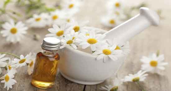 گل بابونه در پریودی ؛ کاهش دردهای قاعدگی با مصرف گل بابونه