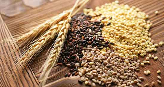 گندم سیاه و خواص ؛ همه چیز درباره خواص گندم سیاه
