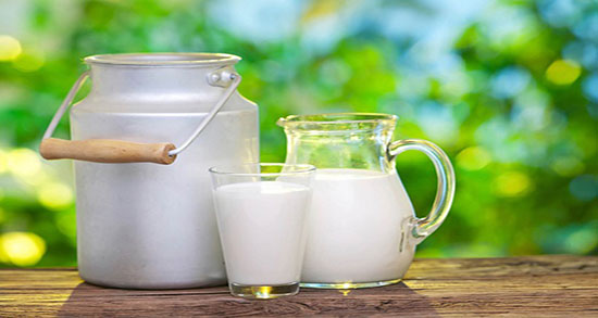 خاصیت شیر گاو ؛ خاصیت خوردن شیر گاو برای پوست صورت و بدن