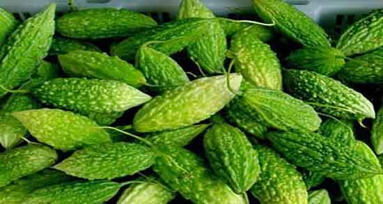 خواص خربزه تلخ برای سرطان ؛ فواید مصرف خربزه تلخ برای درمان سرطان