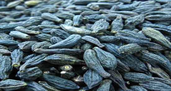 روغن هلیله سیاه برای سفیدی مو ؛ هلیله سیاه برای رفع سفیدی موی سر
