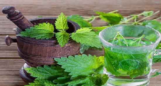 خواص دمنوش گزنه در طب سنتی ؛ آشنایی با خاصیت دارویی دمنوش گزنه از نظر طب سنتی