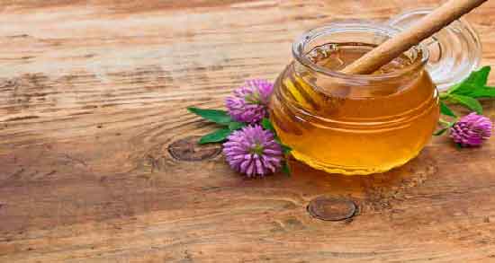 خواص عسل کنار کوهی ؛ بررسی خواص و ارزش غذایی عسل کنار کوهی برای بدن