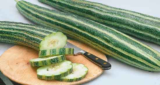 خیار چنبر تلخ ؛ آیا می دانید خیار چنبر تلخ چه خواص و کاربردی دارد