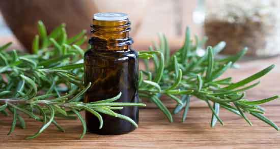 روغن رزماری برای ابرو ؛ ضخیم شدن موی ابرو با روغن رزماری