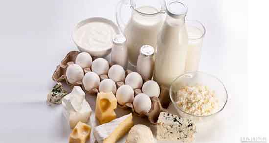 لبنیات برای میکروب معده ؛ خواص و مضرات مصرف لبنیات برای میکروب معده