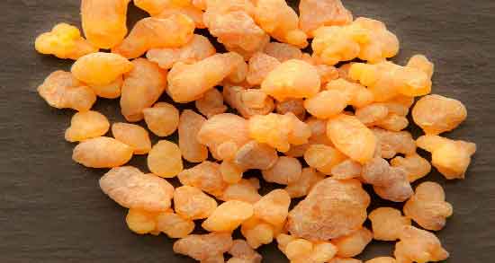 مضرات کندر در طب سنتی ؛ بررسی عوارض مصرف کندر از دیدگاه طب سنتی