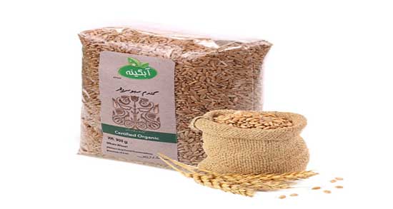 خواص سبوس گندم در بارداری ؛ فواید مصرف سبوس گندم در حاملگی