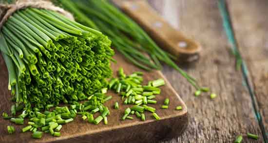 خواص تره ؛ خشک برای کبد و گوارش و تیروئید و کلیه و مو و رحم در طب سنتی