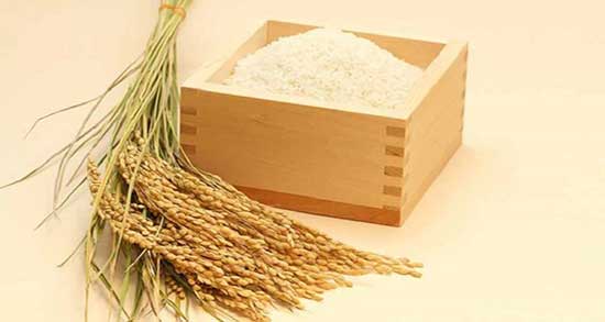 سبوس گندم و لاغری ؛ خوردن سبوس گندم برای لاغری از حکیم تهرانی