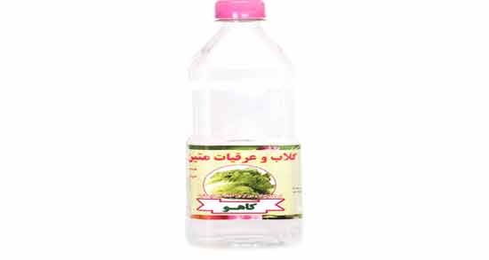 خواص عرق کاهو در لاغری ؛ افزایش چربی سوزی در بدن با مصرف عرق کاهو