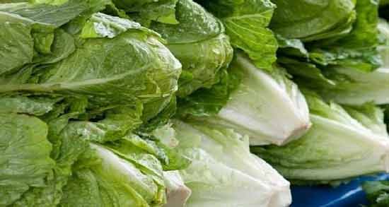 طریقه مصرف عرق کاهو ؛ نحوه صحیح خوردن عرق کاهو