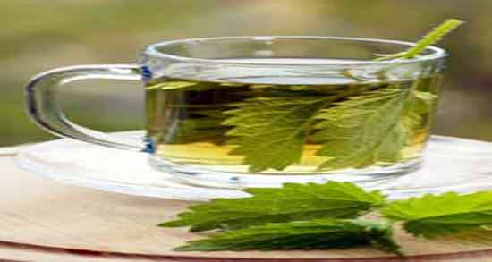 خواص گزنه برای تیروئید ؛ فواید مصرف گیاه گزنه برای تیروئید کم کار