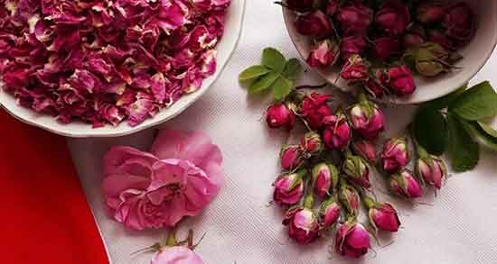 خواص گل محمدی ؛ خشک با ماست و در چای سیاه + خواص دمنوش گل محمدی