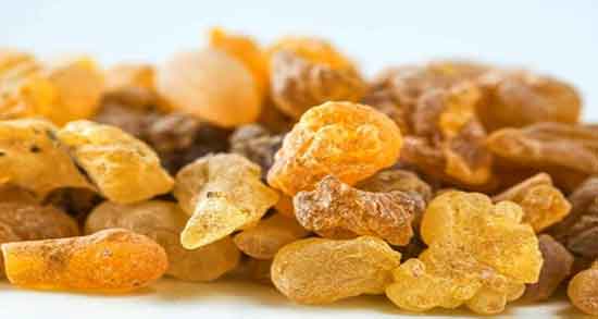 روش جوشاندن سقز ؛ دستور جوشاندن سقز تازه برای کم خونی