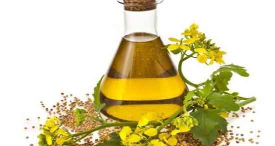 روغن خردل و حنا ؛ استفاده همزمان از روغن خردل و حنا برای ضخیم شدن مو
