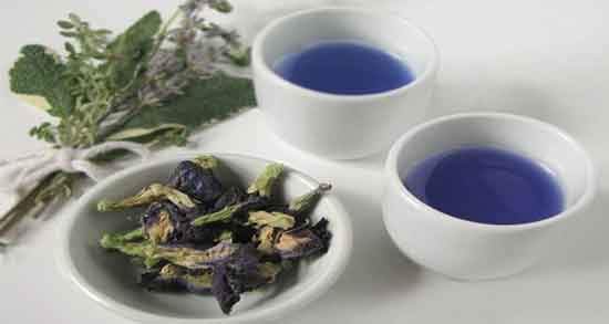 خواص دمنوش گل گاوزبان در طب سنتی ؛ خاصیت دمنوش گل گاوزبان از دیدگاه طب سنتی