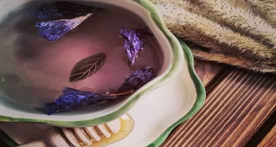 دمنوش گل گاوزبان برای سرماخوردگی ؛ فواید نوشیدن دمنوش گل گاوزبان برای درمان سرماخوردگی