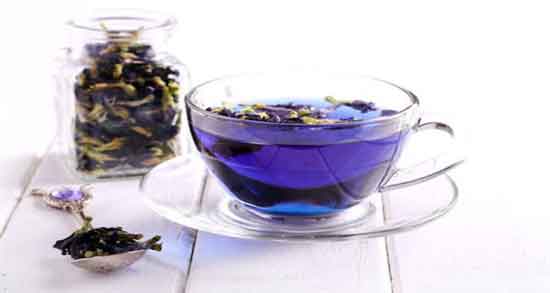 طبع دمنوش گل گاوزبان ؛ آشنایی با خواص درمانی و دمنوش گل گاوزبان