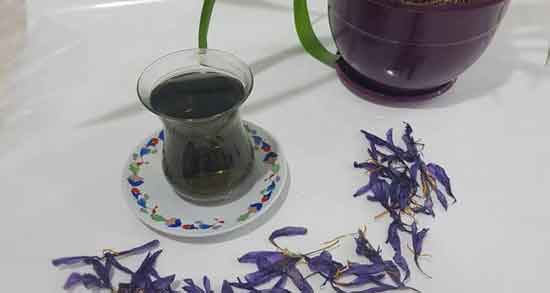 طرز تهیه دمنوش گل گاوزبان ؛ روشی ساده برای درست کردن دمنوش گل گاوزبان