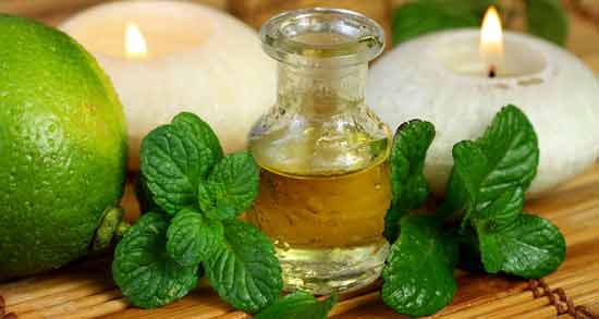عرق نعناع برای رفلاکس معده ؛ فواید مصرف عرق نعناع برای درمان رفلاکس معده