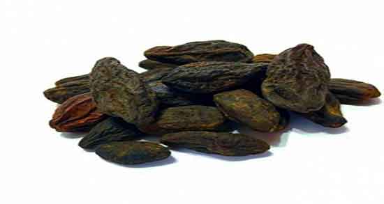عوارض مصطکی ؛ مضرات مصطکی و هلیله سیاه در بارداری زنان