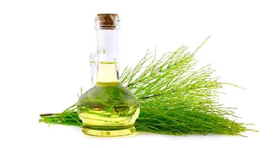 روغن دم اسب برای چی خوبه ؛ خواص مصرف روغن دم اسب برای مو