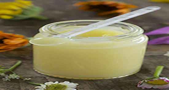 فواید ژل رویال در طب سنتی ؛ خواص استفاده از ژل رویال از نظر طب سنتی
