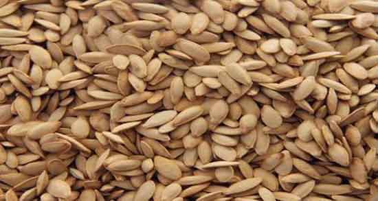 خواص تخمه خربزه ؛ برای اسپرم و بارداری در طب سنتی + پودر تخمه خربزه