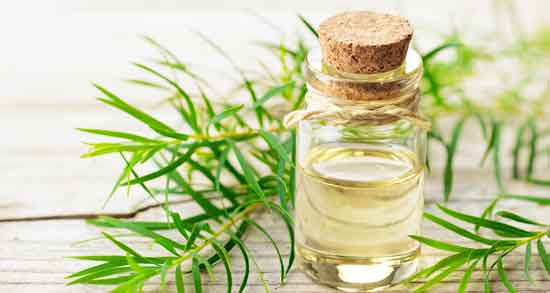 خواص روغن درخت چای ؛ برای واژن و لک و جوش صورت و زگیل تناسلی