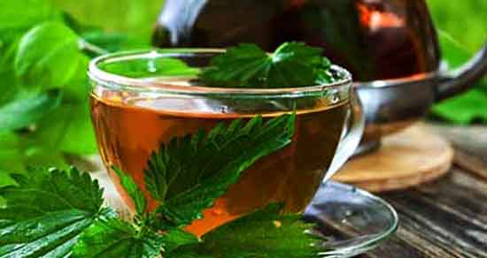 خواص دمنوش گزنه ؛ در بیماری زنان + فواید و مضرات چای گزنه