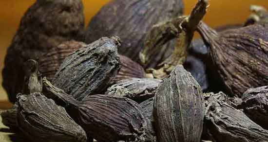 خواص روغن هلیله سیاه ؛ برای رحم و لاغری و بلغم + مصلح هلیله سیاه